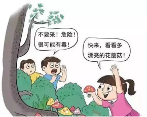 14cb784c84274439ad5e72c05213d0e2.png